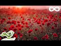 Rose Petals Beautiful Romantic Relaxing Piano Music By Peder B Helland
