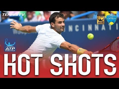 Теннис Dimitrov's Dive Volley Hot Shot Cincinnati 2017