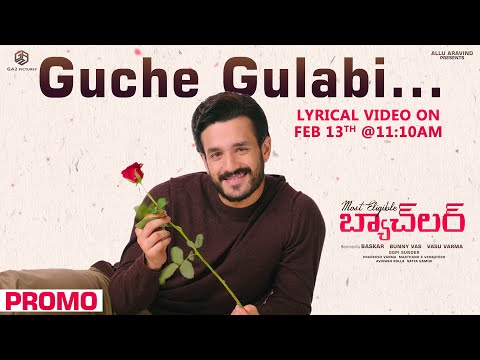 Guche Gulabi Song Release Promo