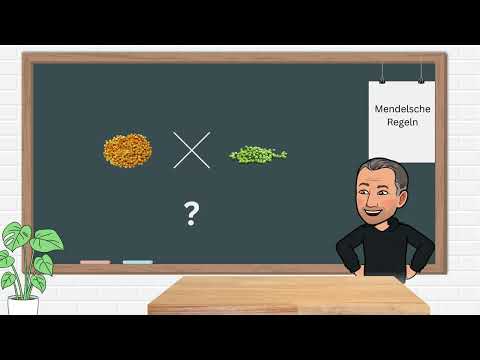 Die Mendelschen Regeln -neu