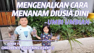 CARA MENANAM BAWANG MERAH DAN BAWANG PUTIH UMBI UMBIAN