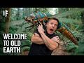 What If Prehistoric Earth Never Changed? DEFAULT Thumbnail