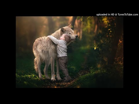 Kontra K x Sido x Bushido - Danke ( Epic Remix )