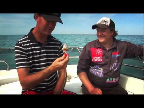 the Water Episode 8 - Shark Bay Pt 2