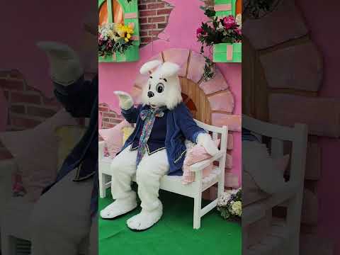 Funny Easter Sunday Pictures