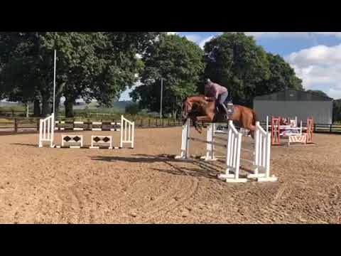 For Sale Half Brother To Casall By Uriko (Untouchable)