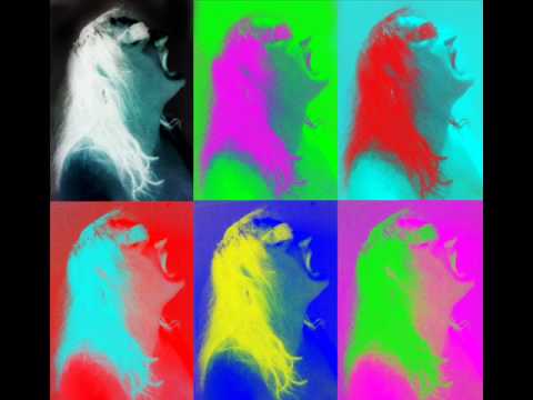 Maciek Januszko "Mikolajowy czas '09" muz.sl.Jacek Skubikowski