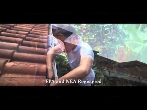 BestChem Mozzie Wipe-Out using Bti mosquito larvicides - TV Commercial (Mandarin)