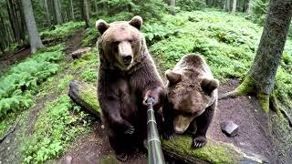 when the forest gas hits mid-hike and suddenly you can hear tree thoughts 🌲💨 #bearvlog #bear #ai