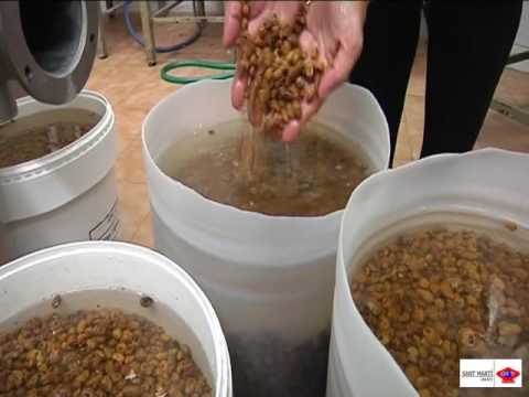 2012 06 07 Centenari Tio Che