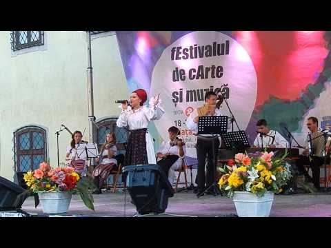 festival de carte Brasov 2013 - Roxana Gudiu