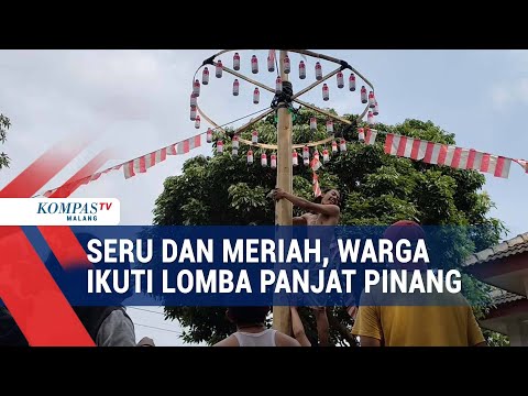 Seru! Lomba Panjat Pinang Sambut HUT Kemerdekaan RI