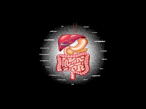 Punchlove - "Today You Can Learn the Secret" [Music Video]