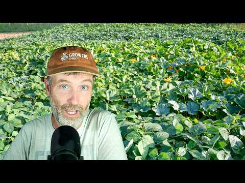 Can You Use Woodstove Charcoal as Biochar + Going From Compacted Dirt to Thriving Soil