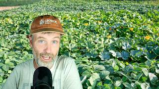 Can You Use Woodstove Charcoal as Biochar + Going From Compacted Dirt to Thriving Soil