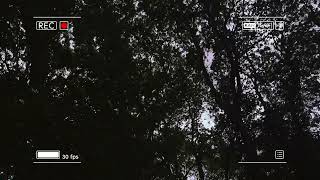 Footage 001.