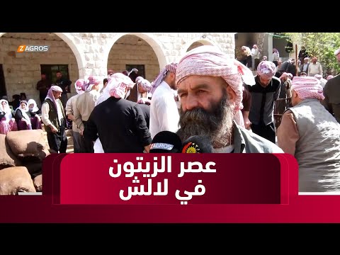 فيديو | شيخان.. مراسيم عصر الزيتون لاستخراج الزيت في معبد لالش