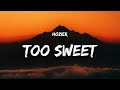 Hozier - Too Sweet (Lyrics) "i take my whiskey neat"