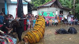 Download lagu Barongan!!!!!budal 👉 janturan ebeg Turonggo mekar Budoyo live di desa makam kec Rembang  mp3