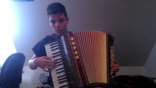 Swing Life Away. Rise Against. Accordion Cover. Akkordeon Cover.