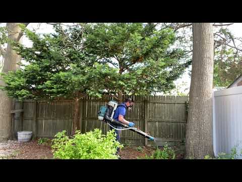 Reducing Ticks and Mosquitoes in Silverton, NJ