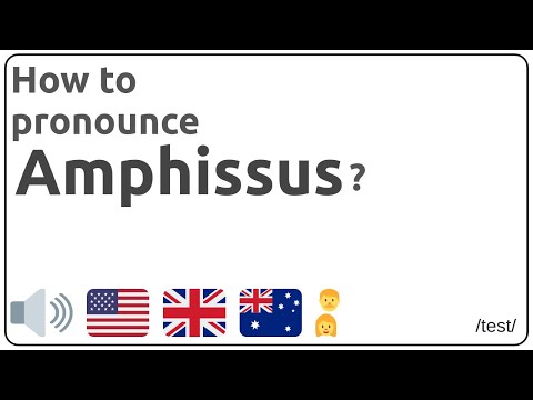 How to pronounce Amphissus in english?