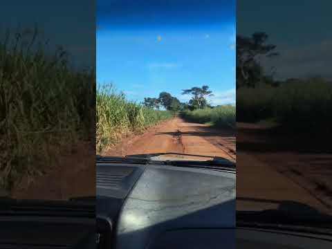 # Rondolândia Mato grosso Km 70 esse dia Estrada tava boa#agro 