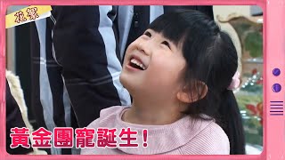 【黃金歲月 獨家花絮】黃金團寵誕生！ video