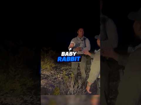 Officer Unalives a Baby Rabbit For Fun😕