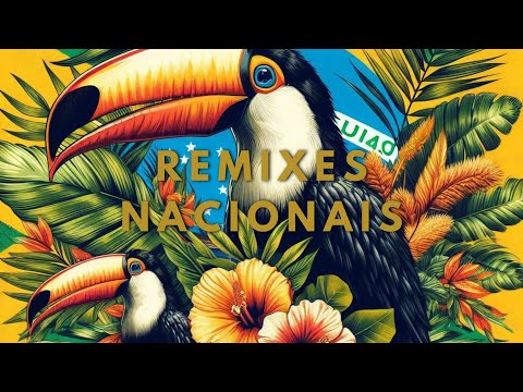 Remixes Nacionais - Set Mixado (Rita Lee, Tim Maia, Alceu Valença, Djavan, Legião Urbana ...) Vol.47