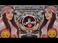 New Arabic Remix Song 2023 Arabic Song Slowed Reverb Bass Boosted Arabic Remix Songs Remix