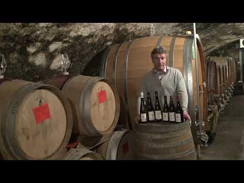 Weintaxi Wiesbaden - Online Weinprobe mit dem Weingut Künstler