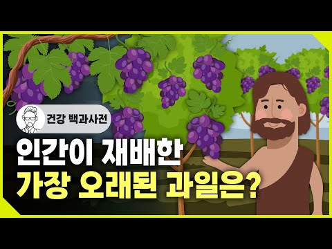 , title : '인간이 재배한 가장 오래된 과일은? @SEMOJI'