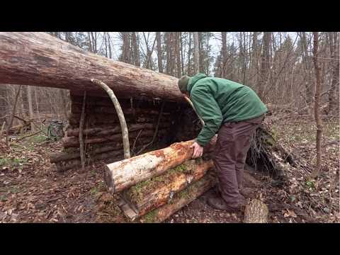Hombre Construye Refugios En Árboles Caídos Para El Invierno | De Inicio A Fin @BudaBushcraft