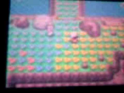 COME CATTURARE SHAYMIN