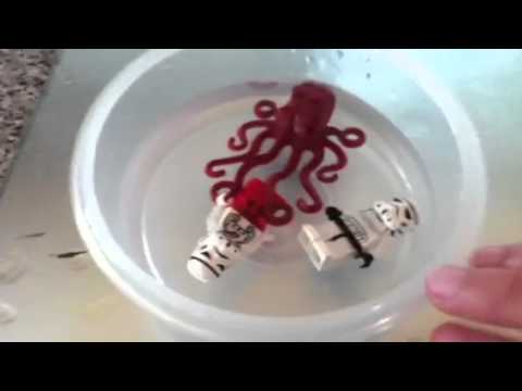 The stormtrooper and the octopus