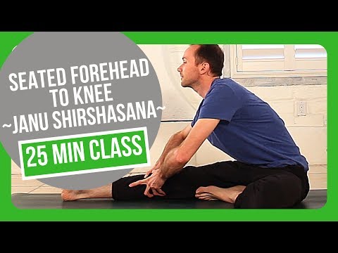 Seated forehead to knee (janushirshasana) Half Hour Yoga Class