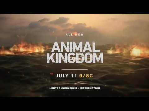 ANIMAL KINGDOM 2x06 - CRY HAVOC