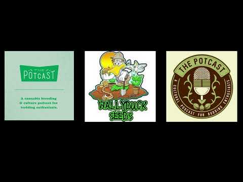Episode 66 ft Wally Duck of Wally Duck Seeds - The Pot Cast - 04/05/22