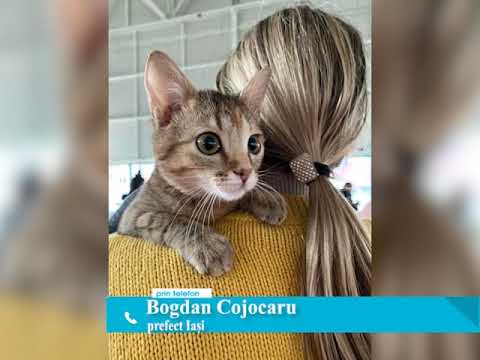 Noi spatii pentru refugiati amenajate in judetul Iasi