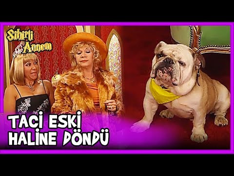 Dudu, Taci'yi Eski Haline Çevirdi - Sihirli Annem 30. Bölüm