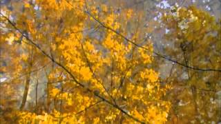 (HD 1080p) "Annie's Song",  James Galway / Charles Gerhardt