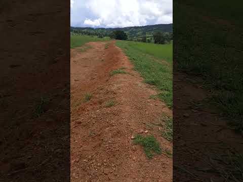 RECUPERAÇÃO DAS NASCENTES QUE ABASTECE A CIDADE DE CORUMBAIBA , GOIÁS , SHORTS