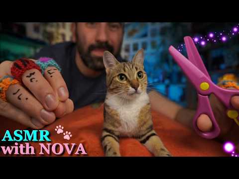 ASMR Aura Cleansing with My Cat (Purring) 🐾 Reiki for Sleep & Stress Relief ✨