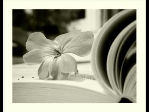 Alexandra Ungureanu - O nebunie ♥