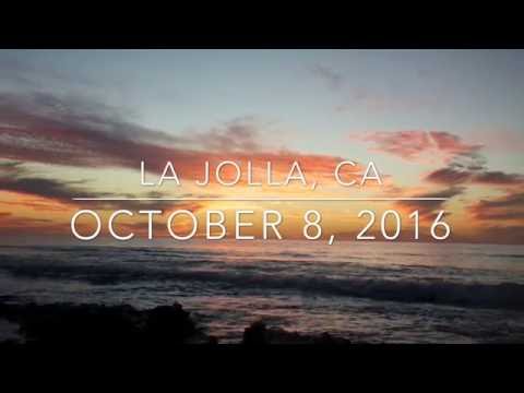 A Day with RayRay: La Jolla Tidepools!