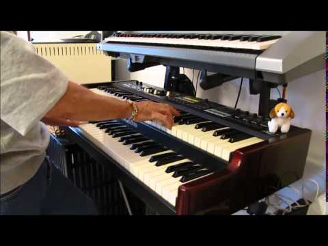 L'AMORE  CONTA (LIGABUE -BASSOTUBA53 )