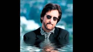 Stephen Bishop-The Heart Is So Willing. (hi-tech aor)