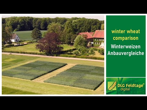Winterweizen Anbauvergleich / Winter wheat comparison - an international competition
