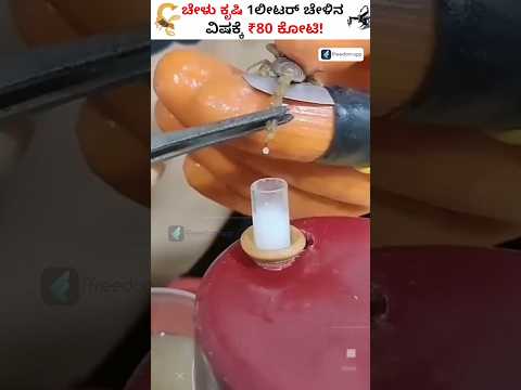 ಚೇಳಿನ ಕೃಷಿ ಬಗ್ಗೆ ಕೇಳಿದ್ದೀರಾ ? Why Scorpion Venom Is So Expensive #shorts #ScorpionFarming